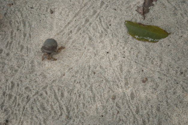 Panamá